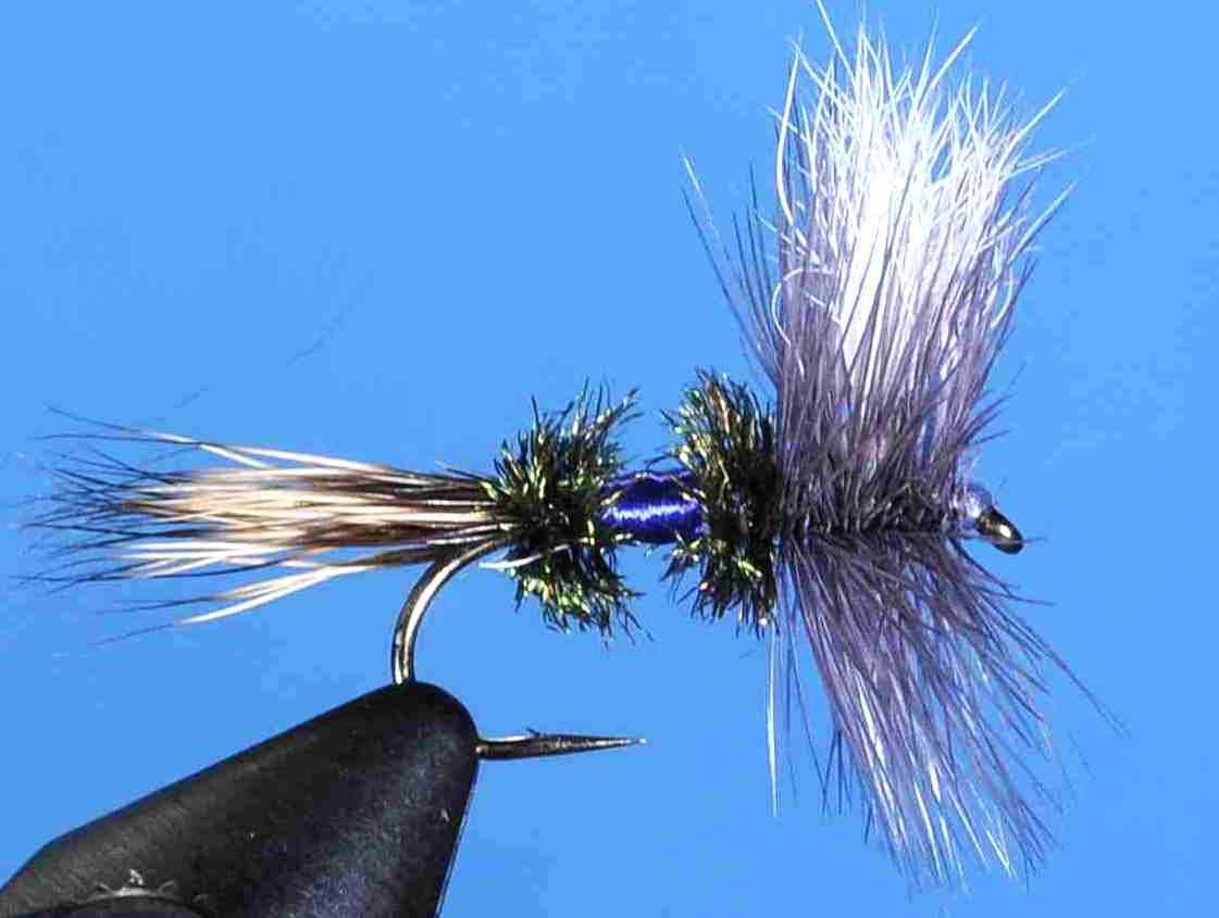 J21-04CARO product image