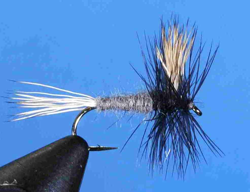 J21-04GRAY product image