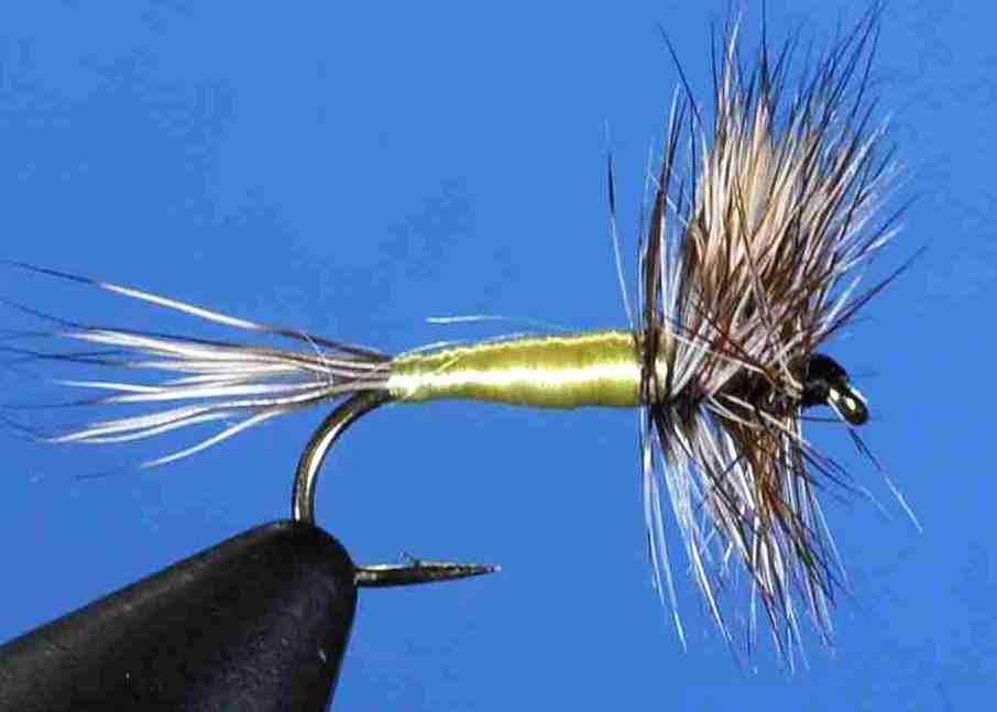 J21-04GRZY product image