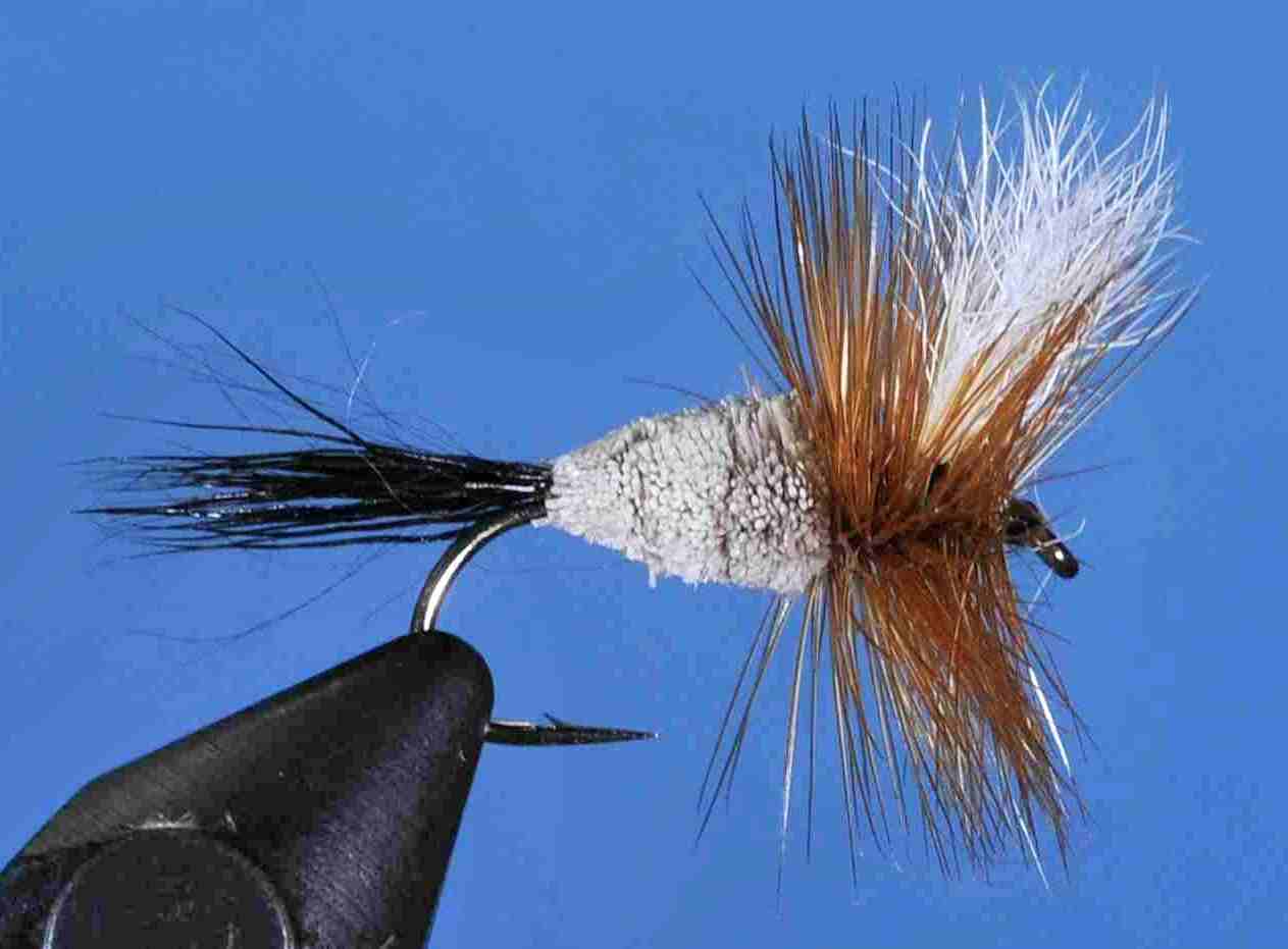 J21-04IRRS product image