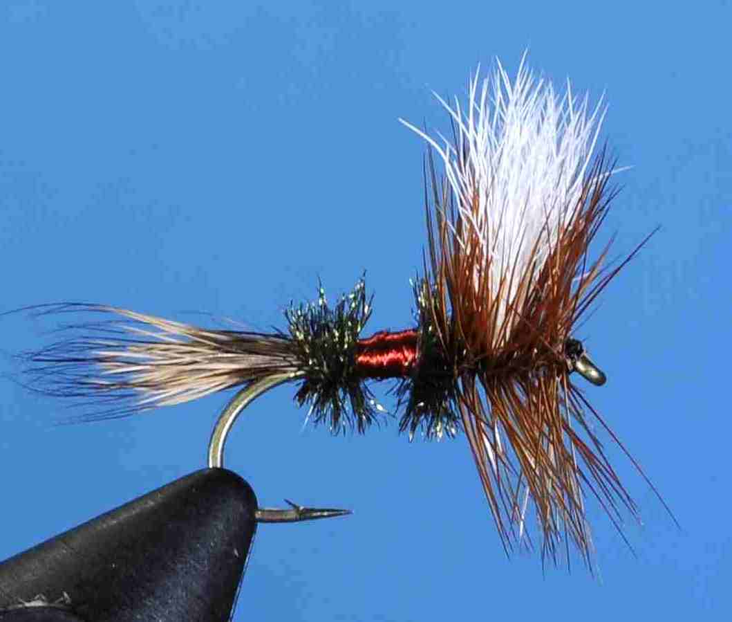 J21-04ROYL product image