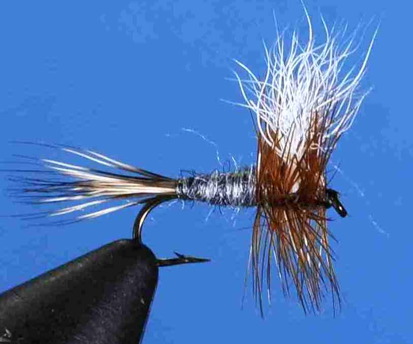 J21-04THND product image