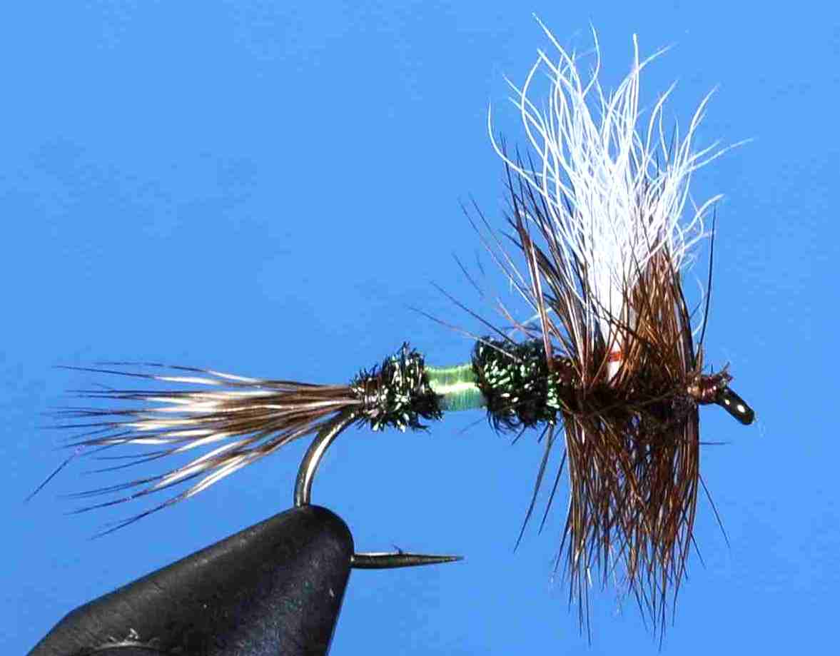 J21-04TNSE product image