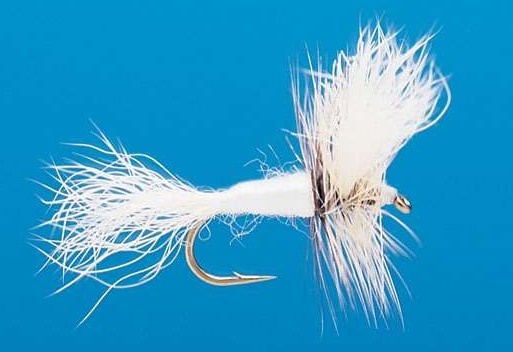 J21-04WHTE product image