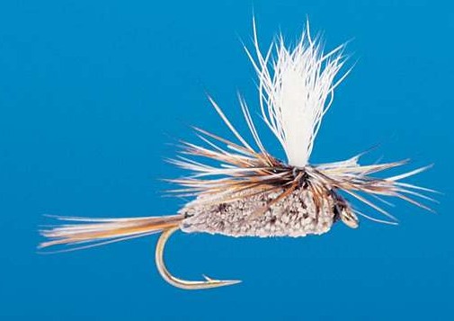 J21-05ADIR product image