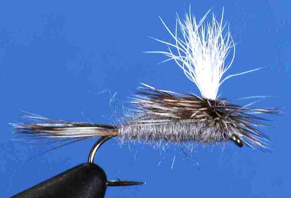 J21-05ADML product image