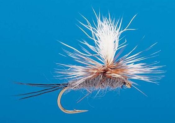 J21-05ADMT product image