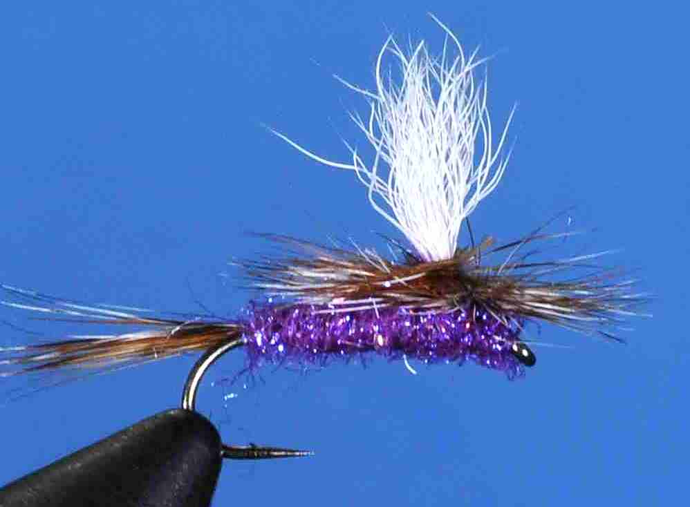 J21-05ADPR product image