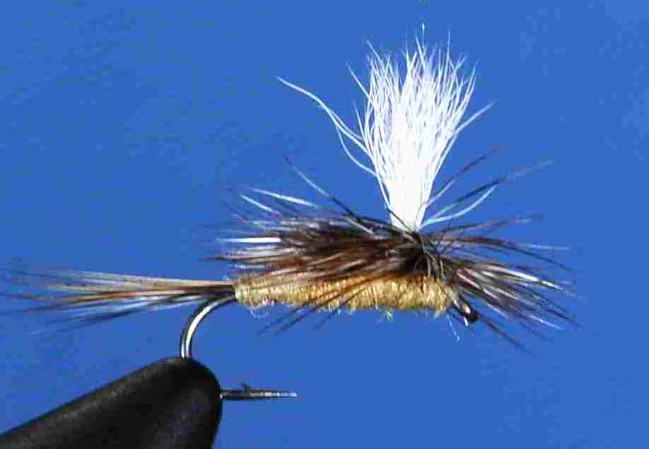 J21-05ADYL product image