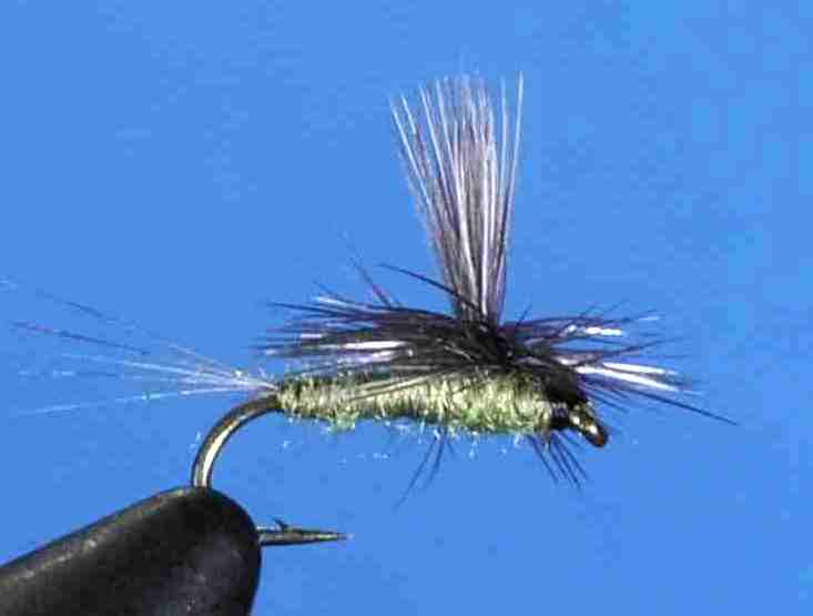 J21-05BATS product image