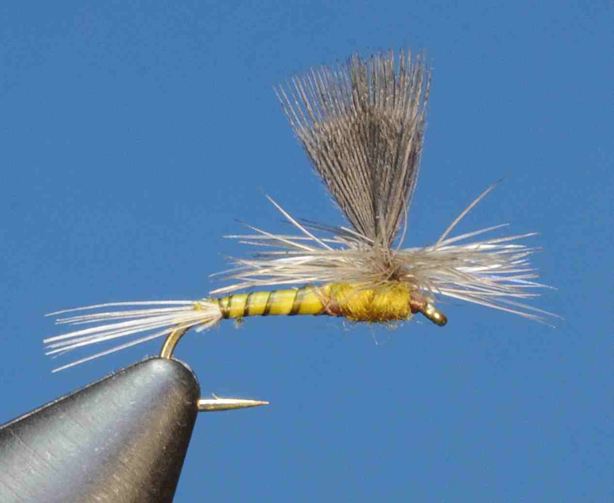 J21-05BCBW product image