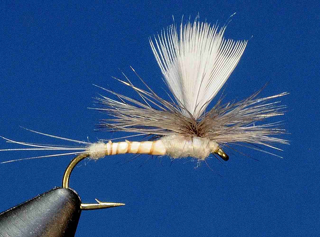 J21-05BCCL product image