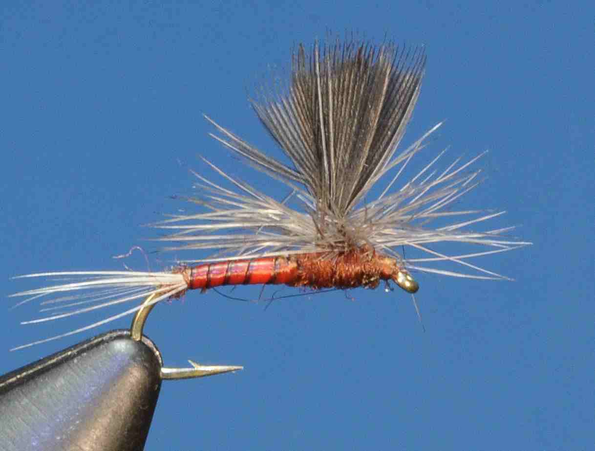 J21-05BCMA product image