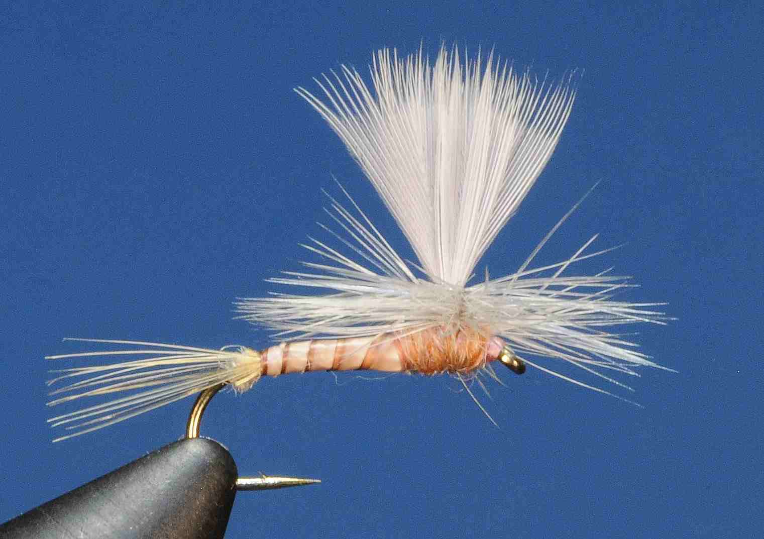 J21-05BCPC product image