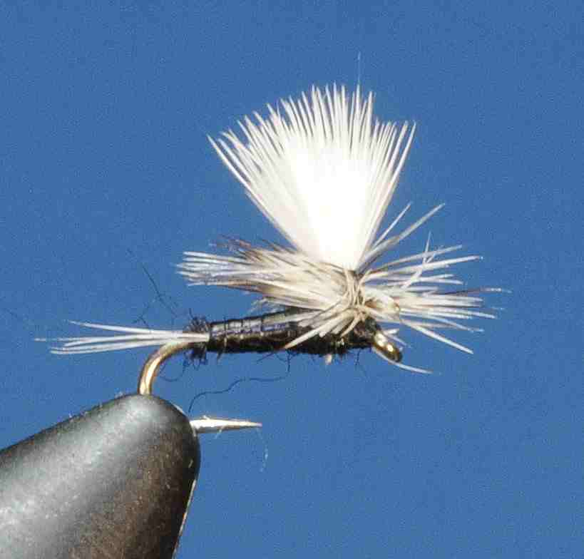 J21-05BCTC product image