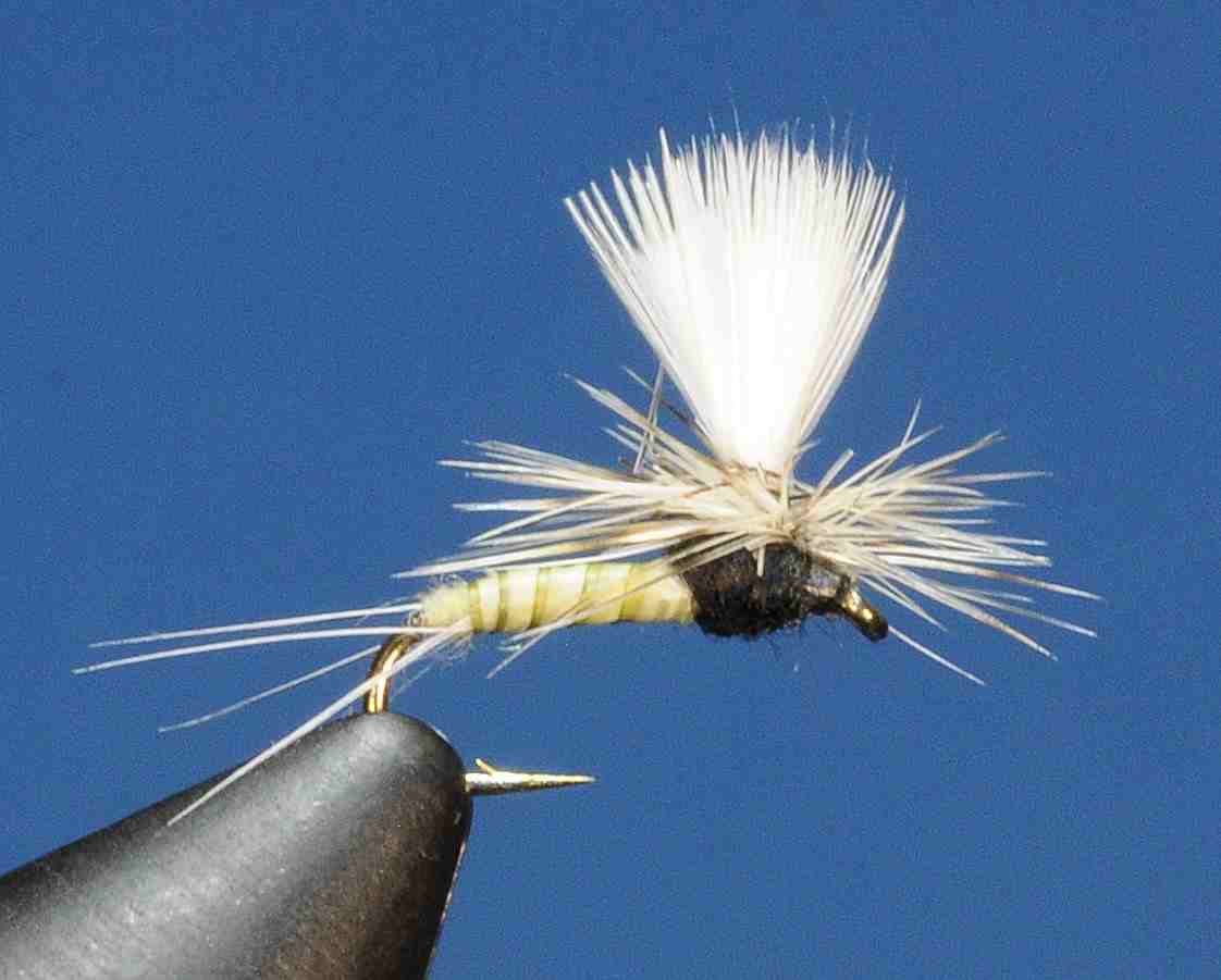 J21-05BCTF product image