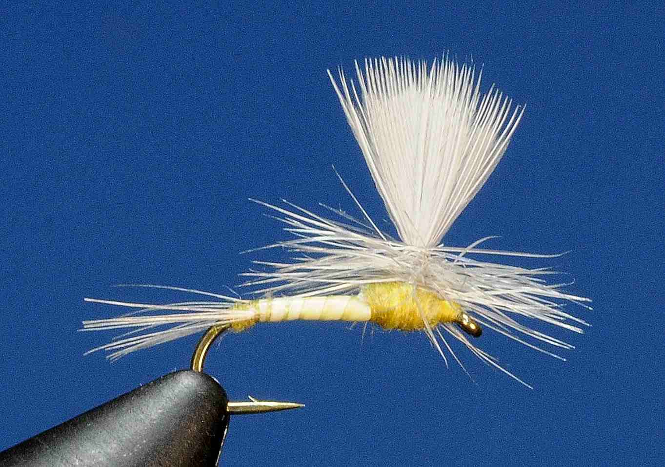 J21-05BCYL product image