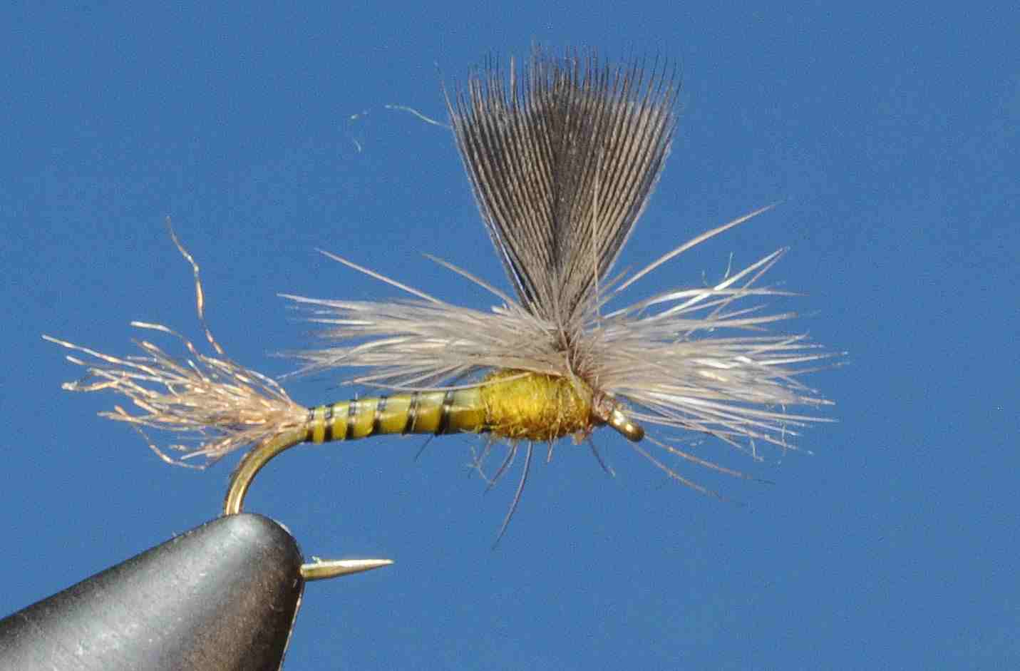 J21-05BDBW product image