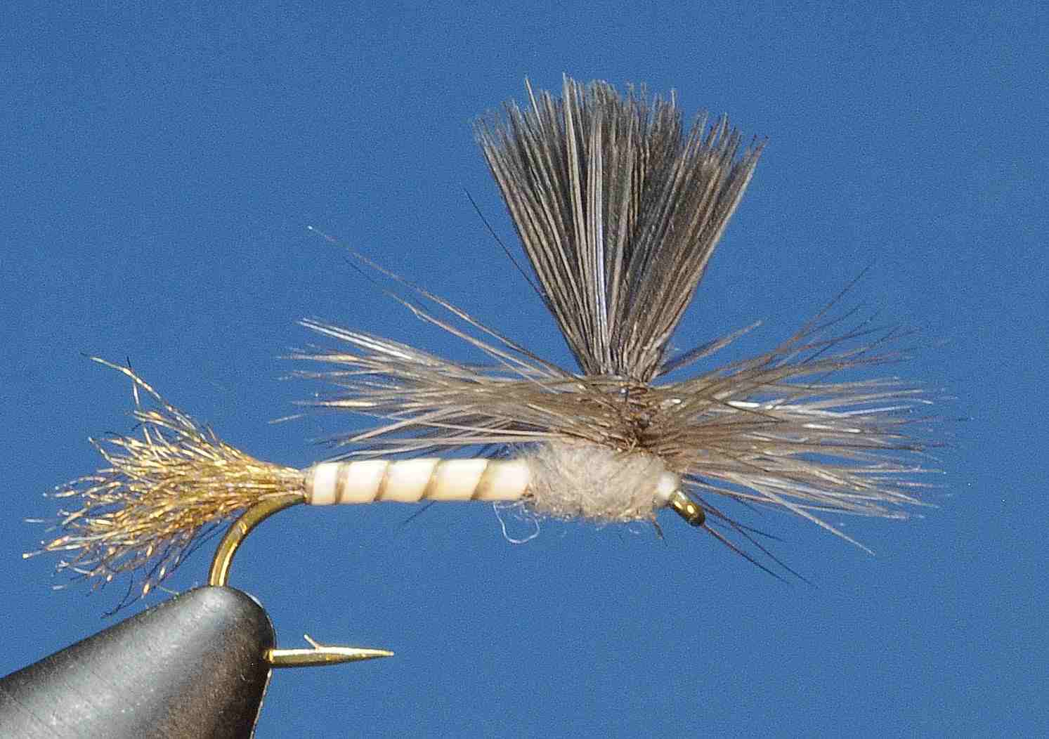 J21-05BDCL product image