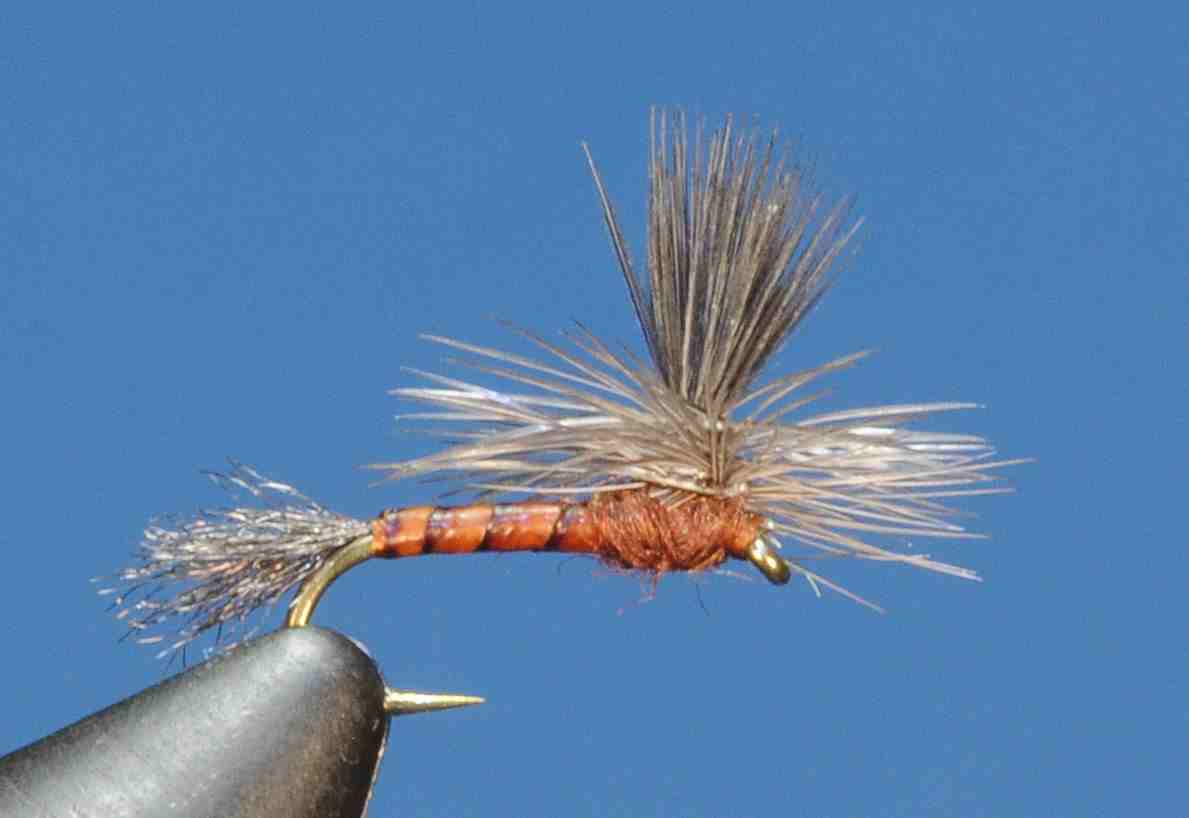 J21-05BDMA product image