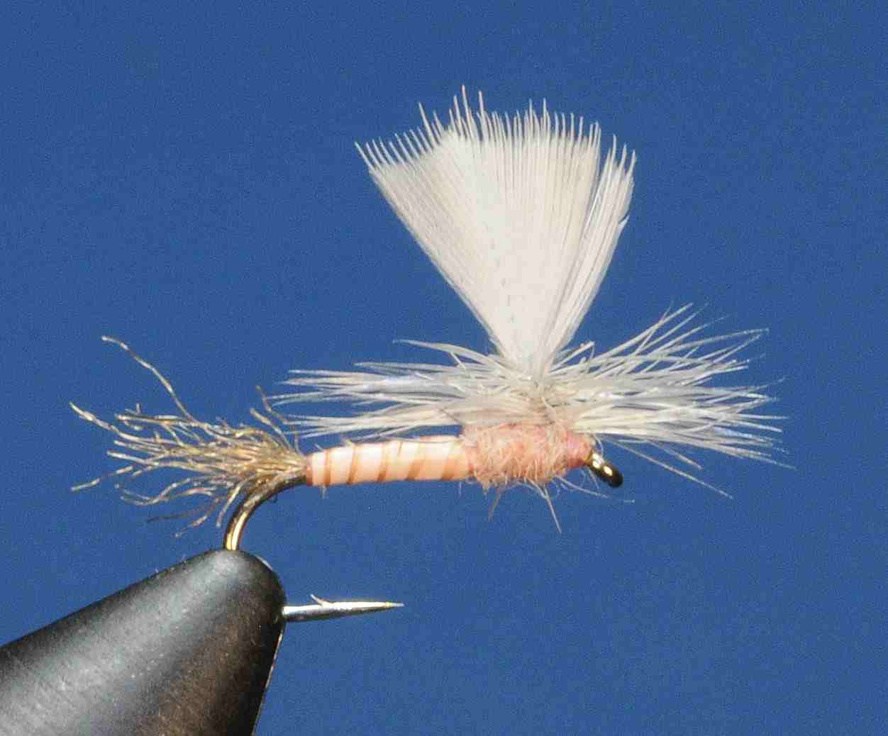 J21-05BDPC product image