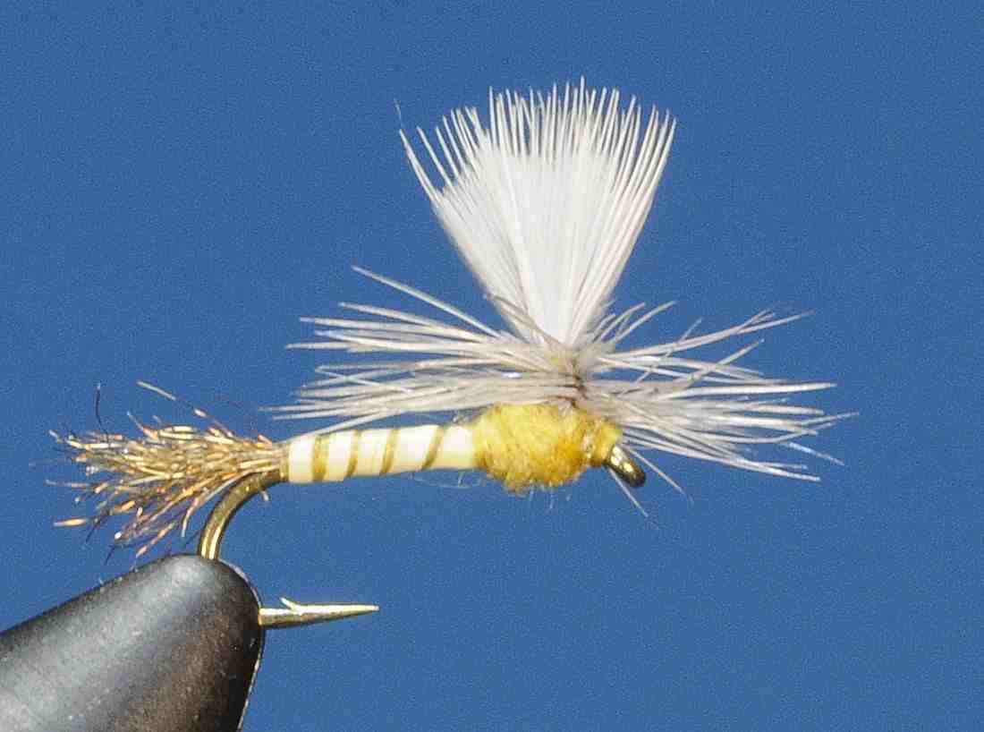 J21-05BDYL product image