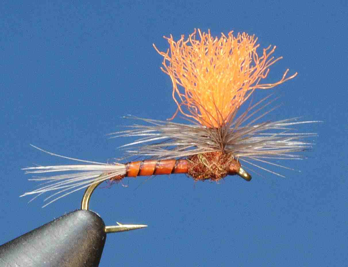 J21-05BEMA product image