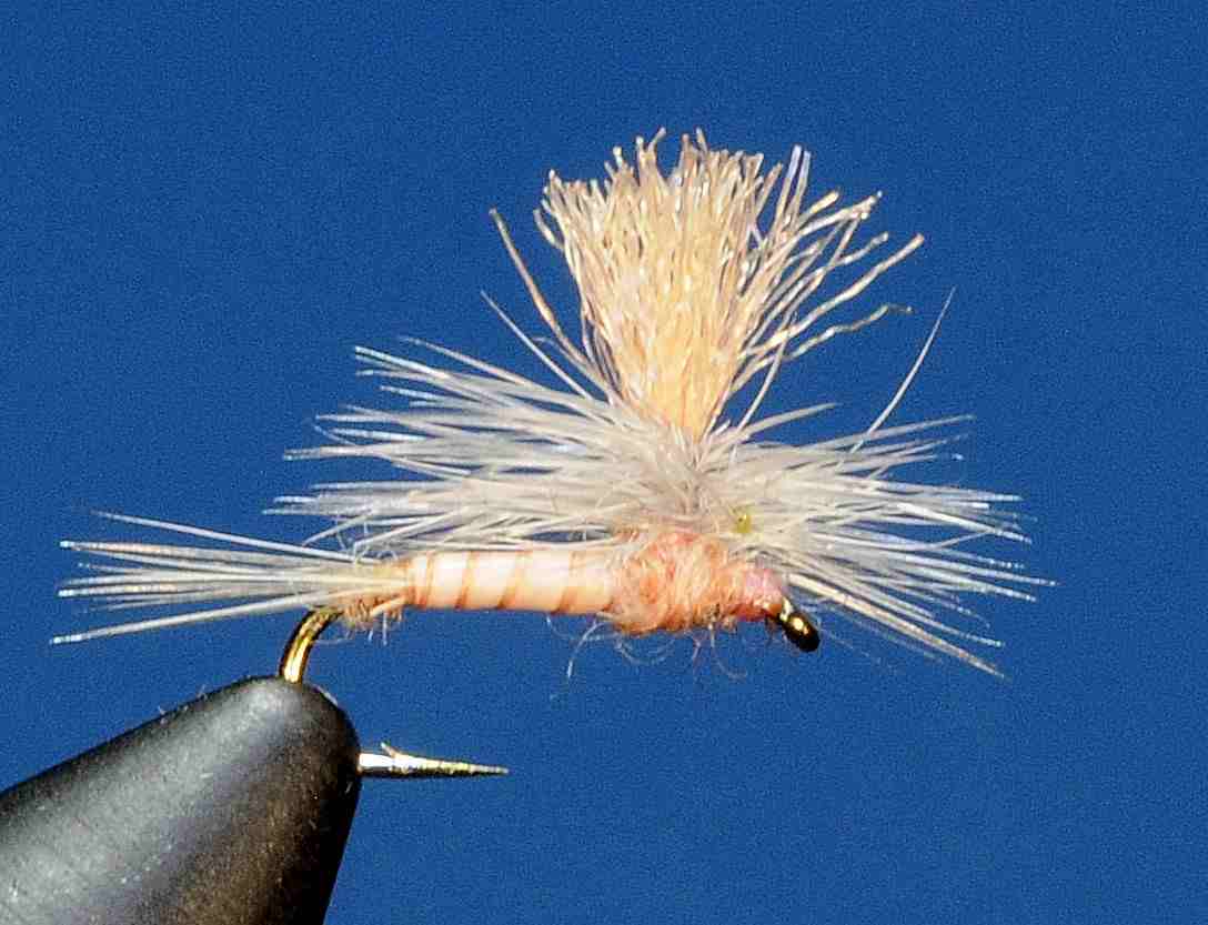 J21-05BEPC product image