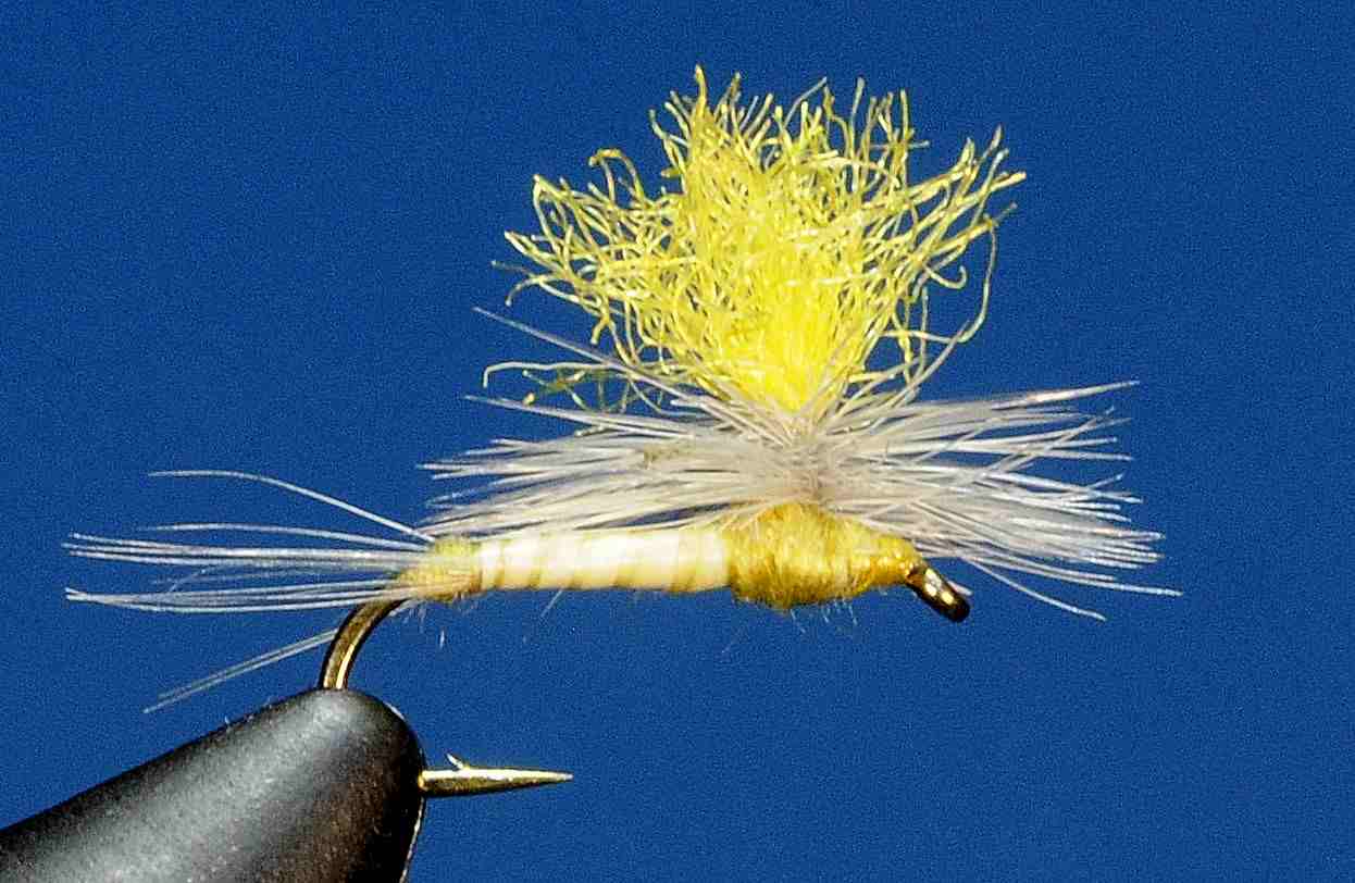 J21-05BEYL product image