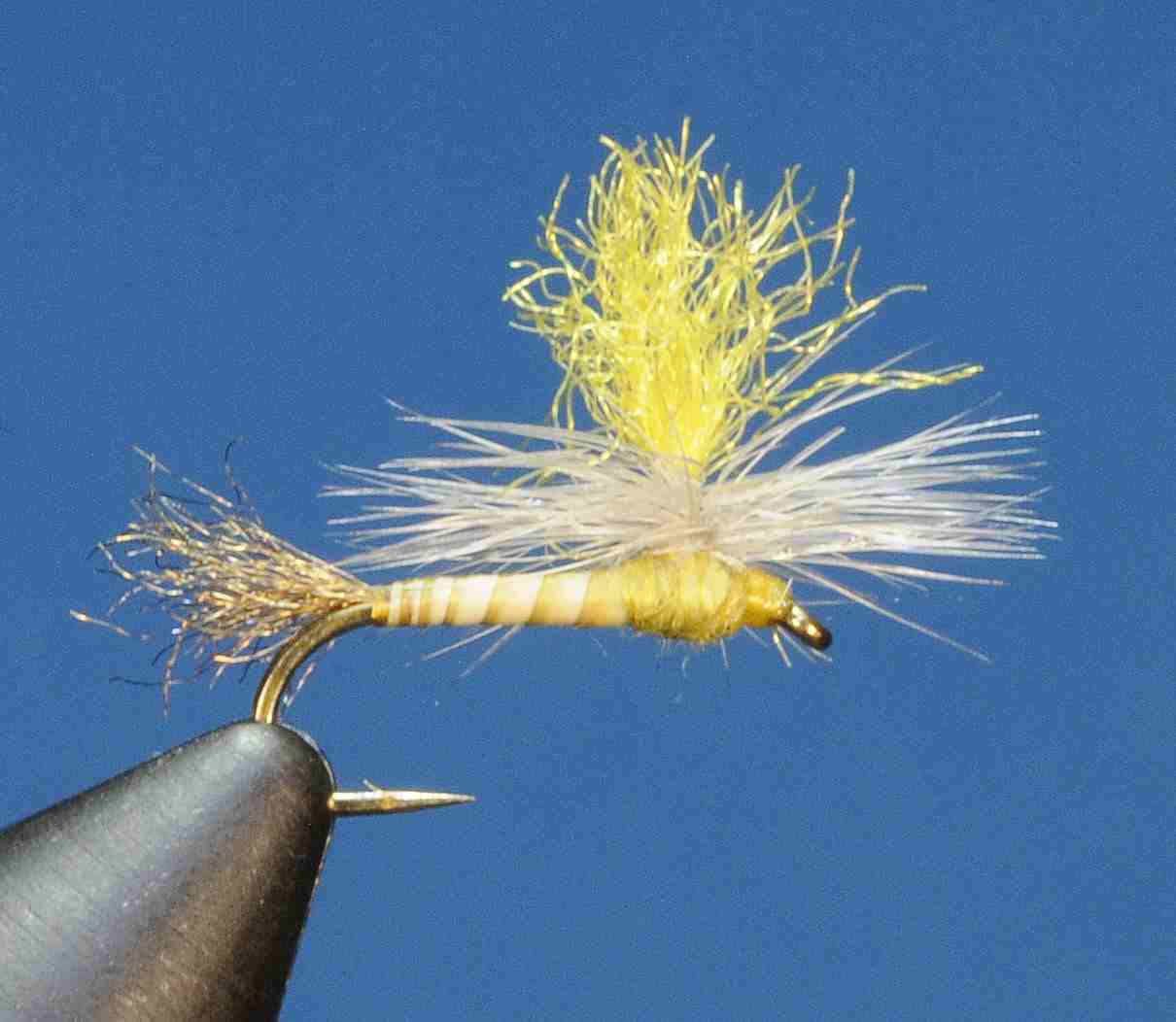 J21-05BFYL product image