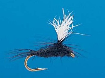 J21-05BKGN product image