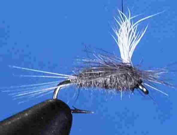 J21-05BLDN product image