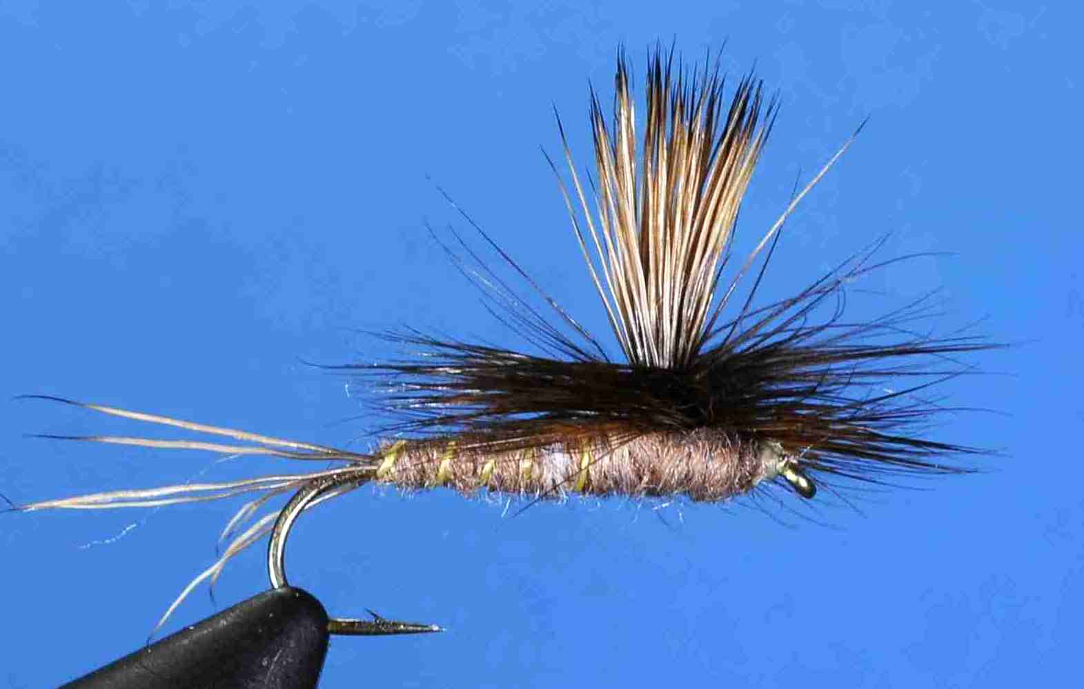 J21-05BNDK product image