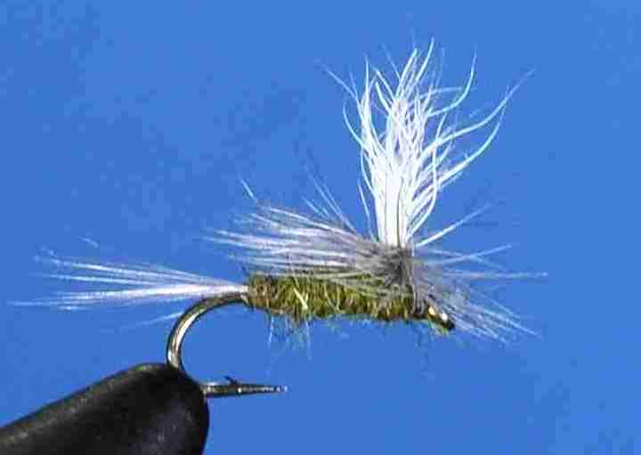 J21-05BWOL product image