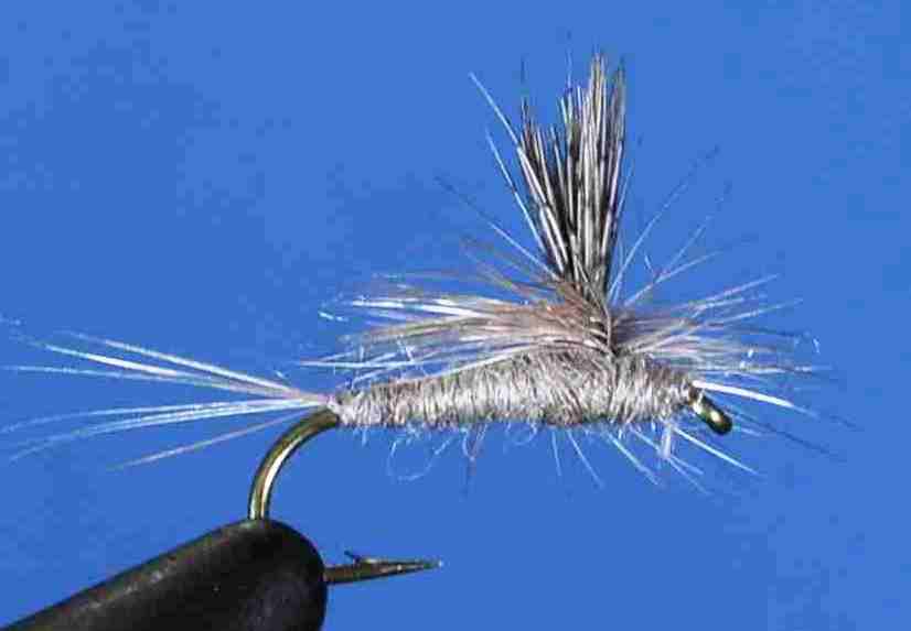 J21-05CALL product image