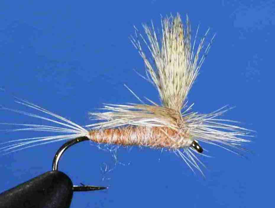 J21-05CHPK product image