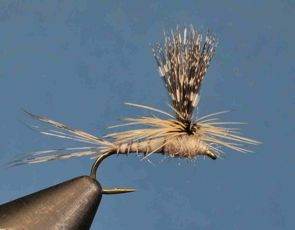 J21-05CWCD product image