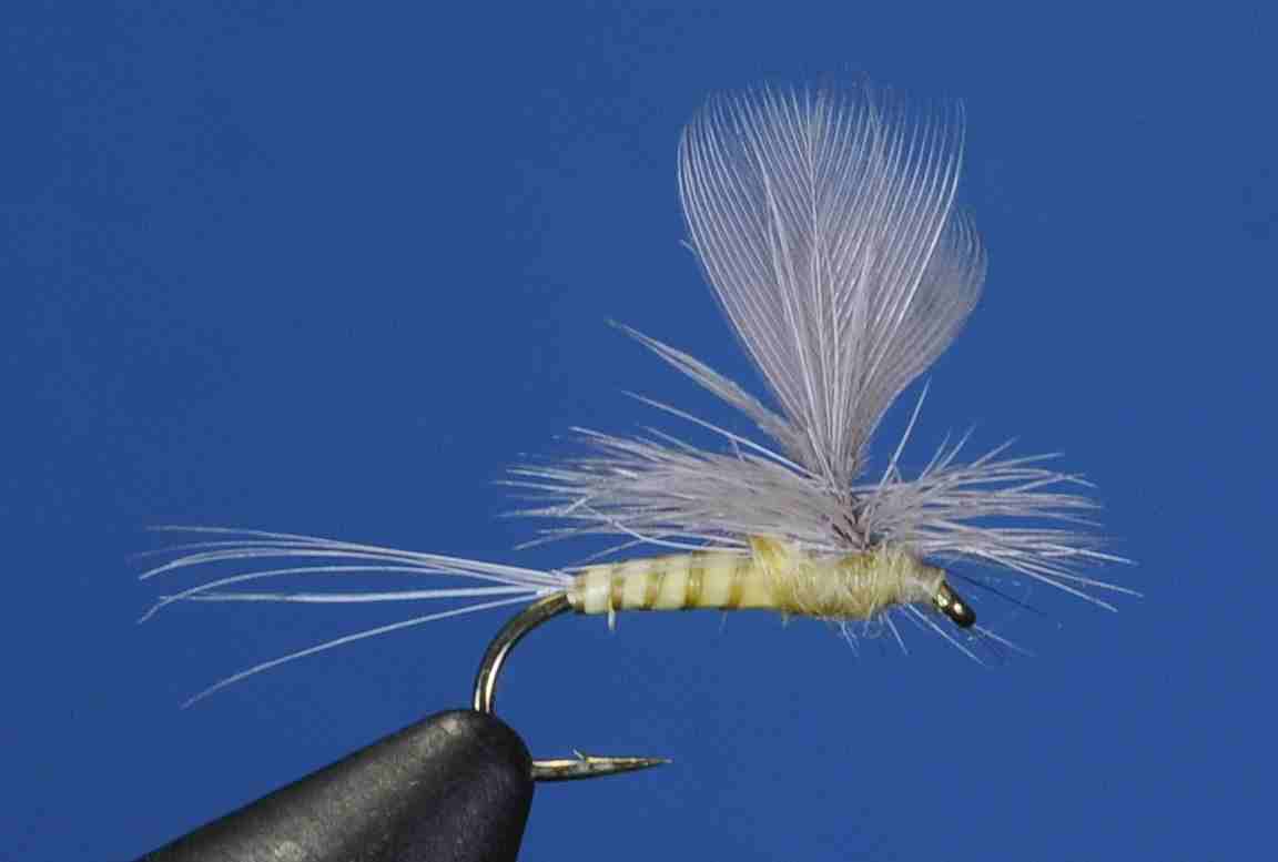 J21-05CWHP product image