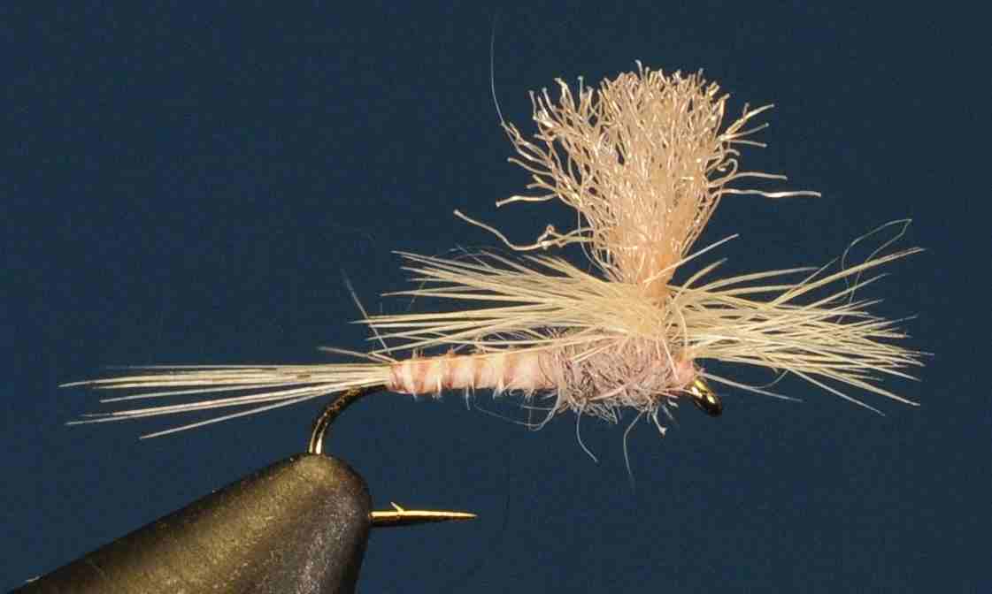 J21-05CWPC product image