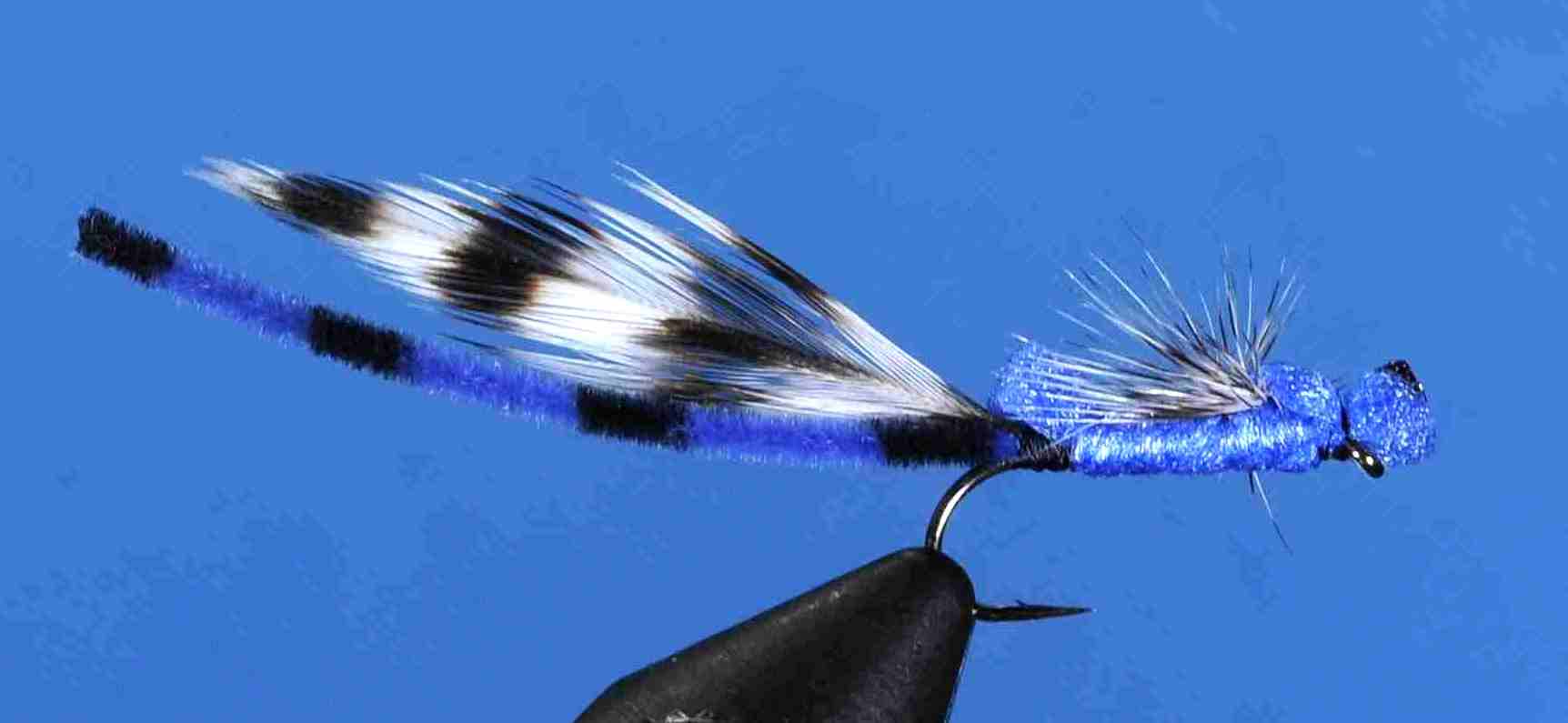 J21-05DMSL product image