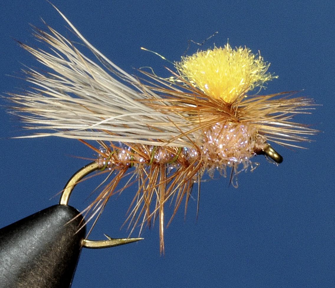 J21-05DPDT product image