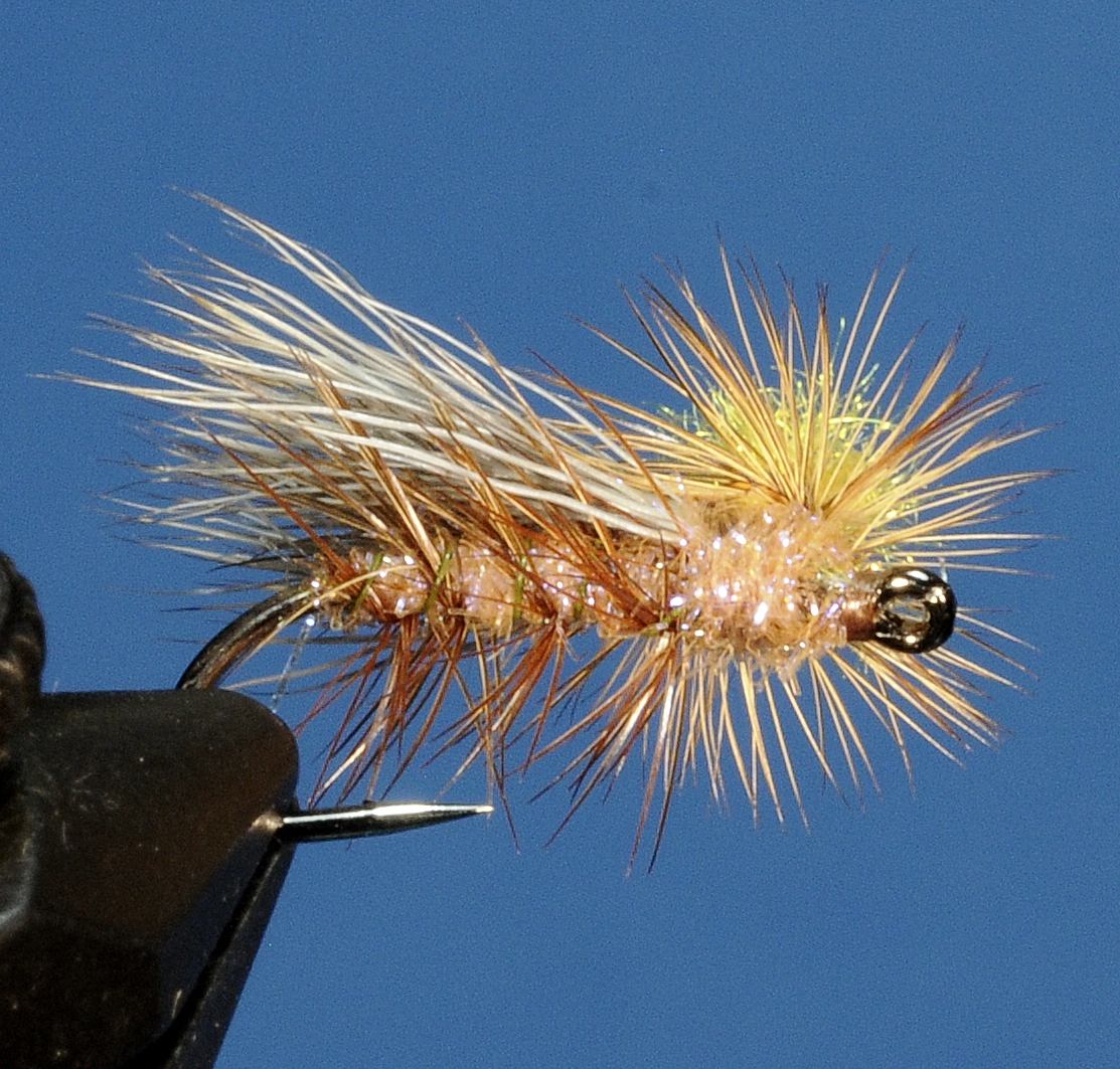 J21-05DPDTKUM product image