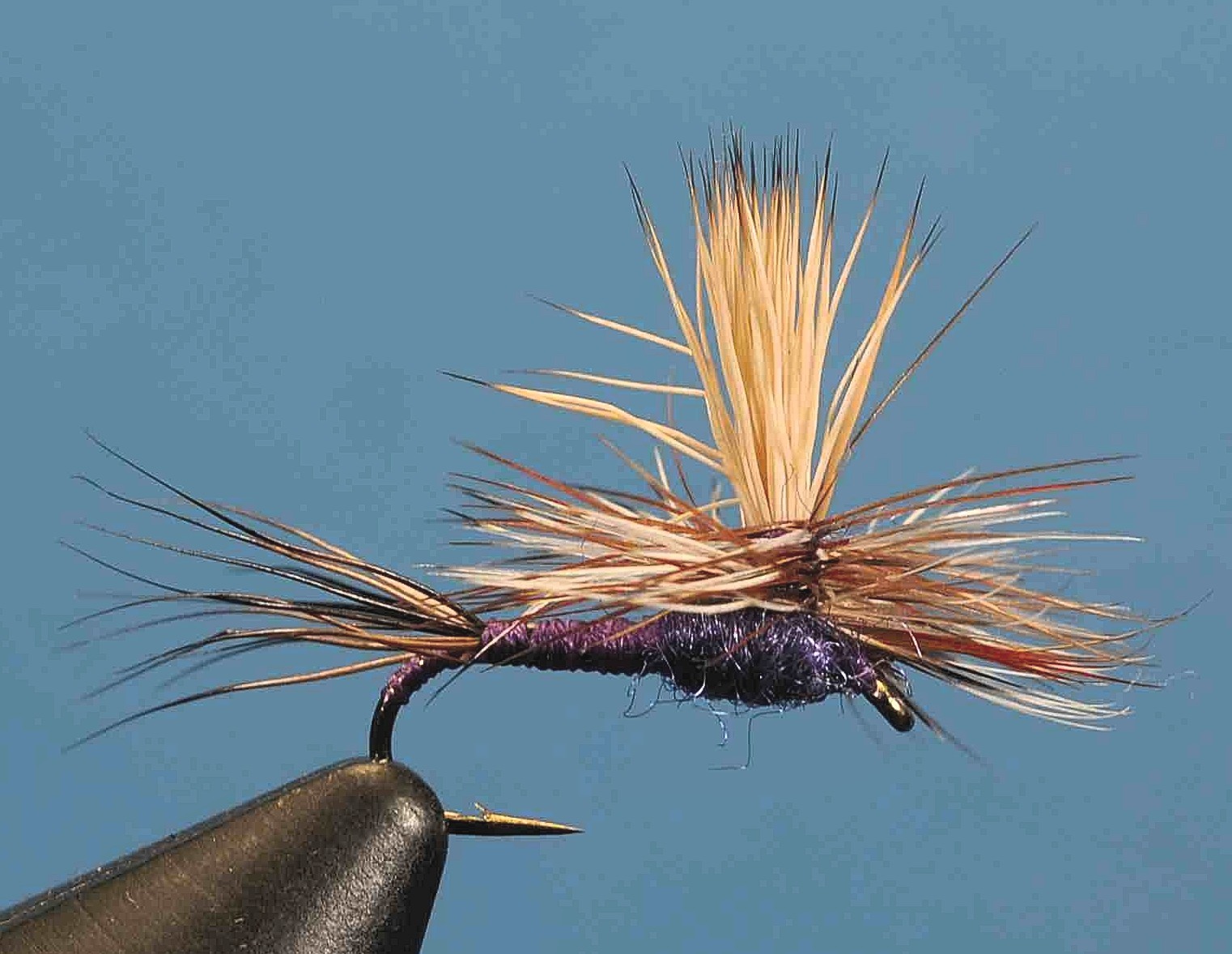 J21-05DZQP product image