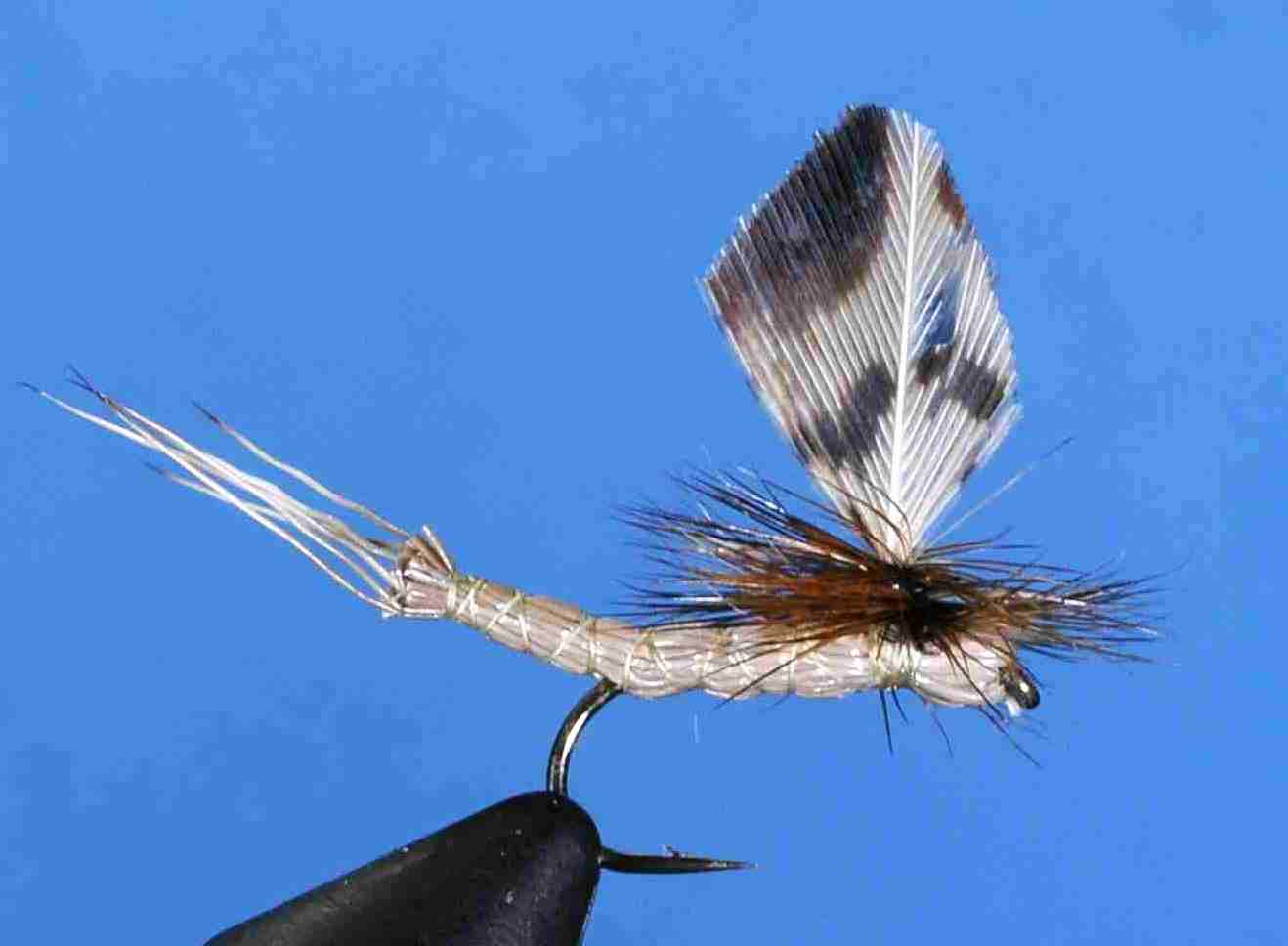 J21-05EBBD product image