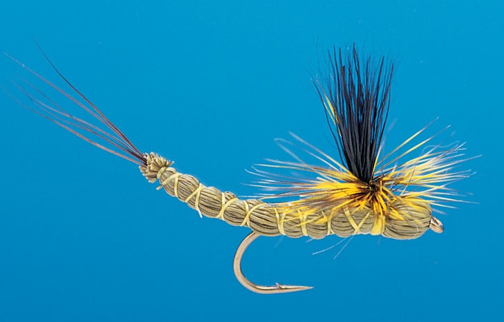 J21-05EBGN product image