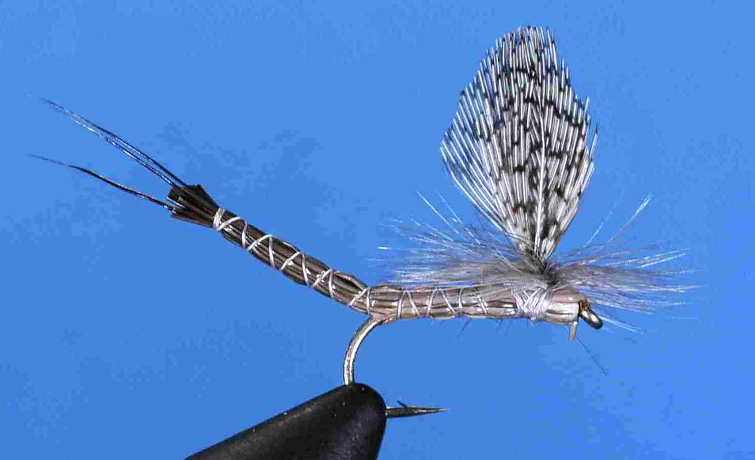 J21-05EBGY product image