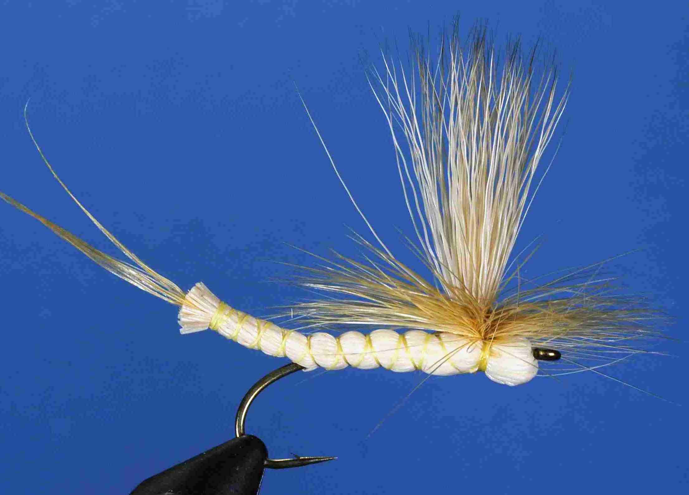 J21-05EBHX product image