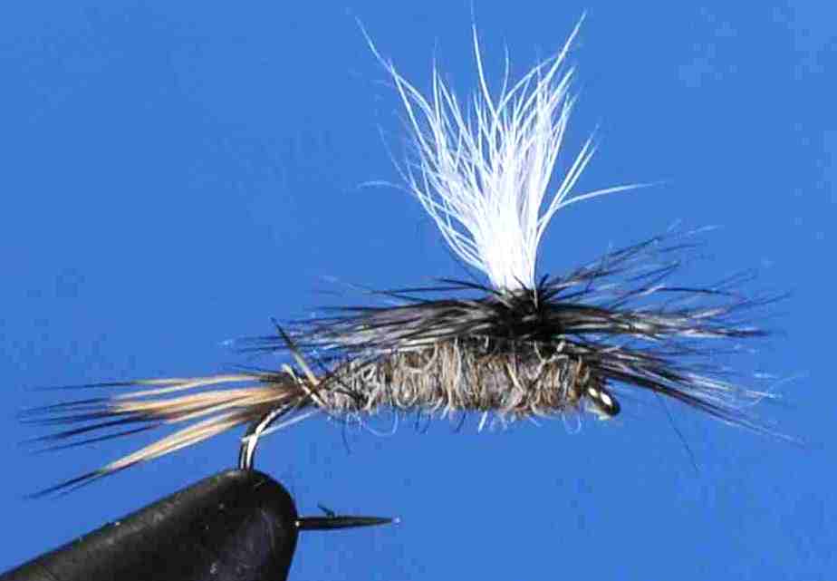 J21-05HENT product image