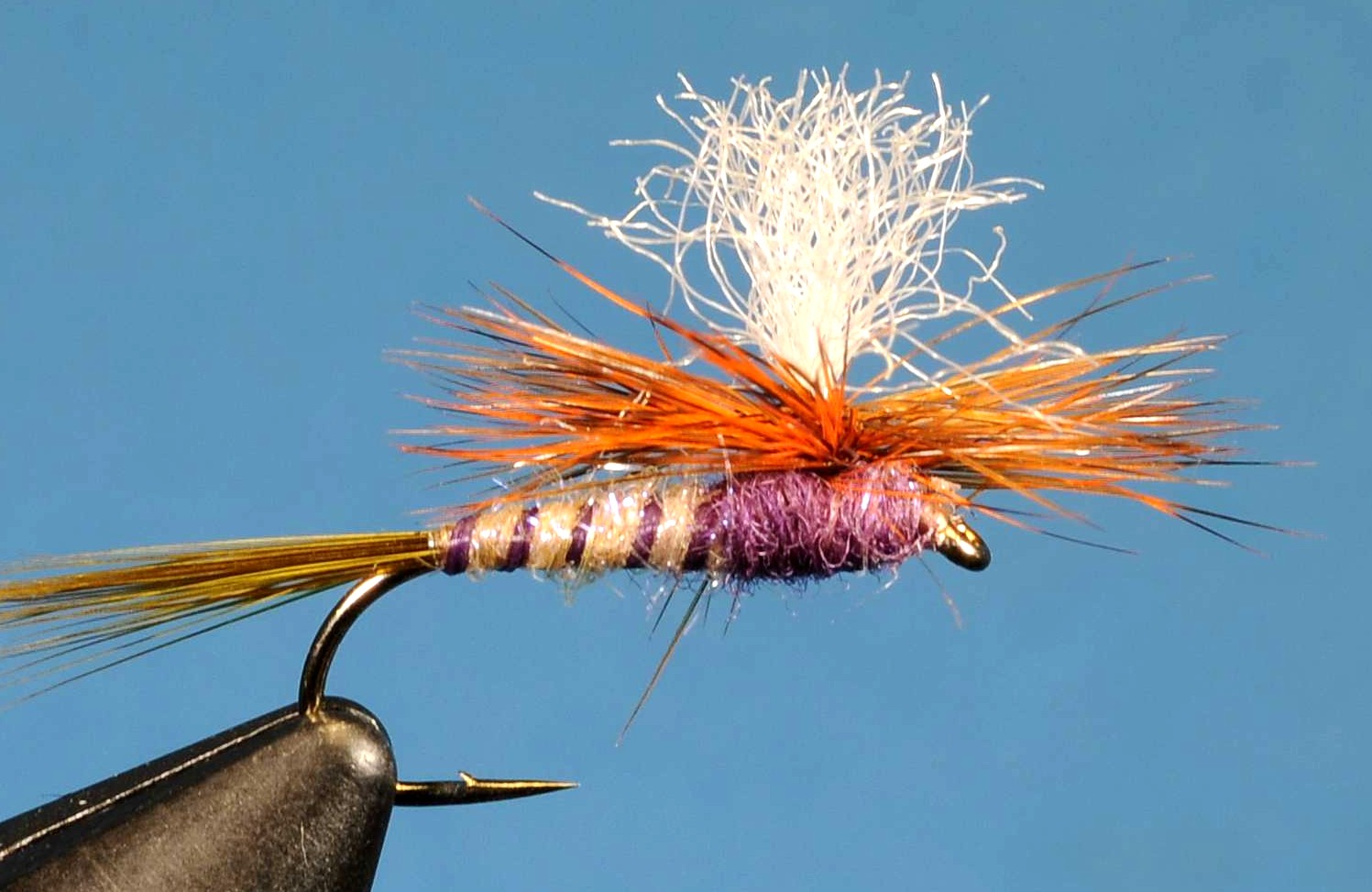 J21-05HHCK product image