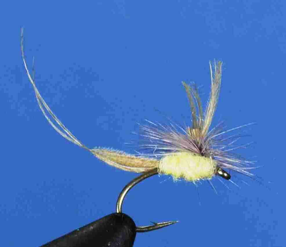 J21-05HMPM product image